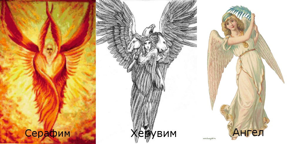 Разница между серафимами, херувимами и ангелами