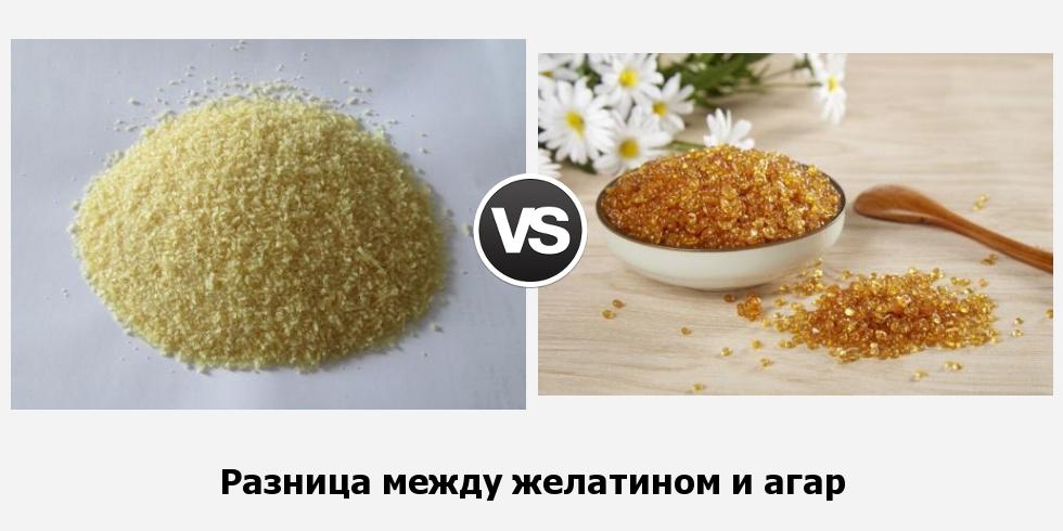 Разница между желатином и агар