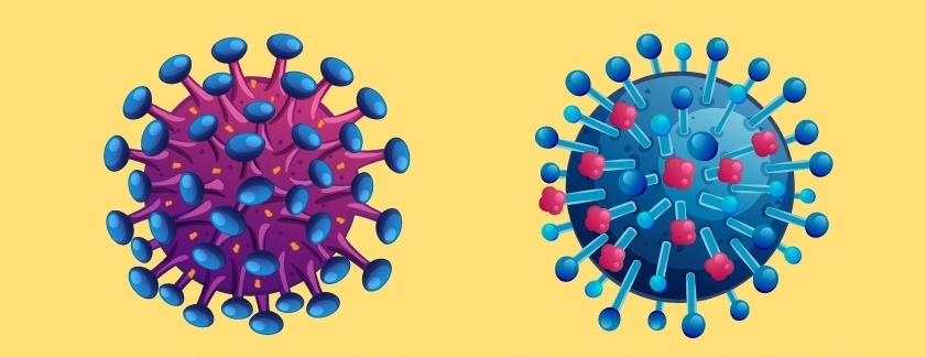 В чём разница между коронавирусом (COVID-2019) и вирусом гриппа?